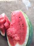 Pepeni din soiul Karistan(60 de bani/kg)
