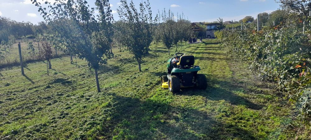 Tractoras de tuns iarba JOHN DEERE L 107