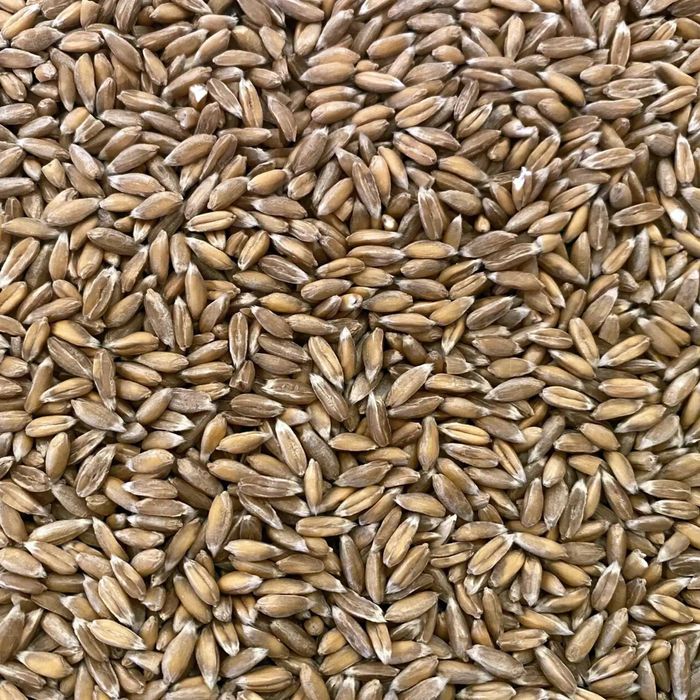 Avantajos GRÂU 2025