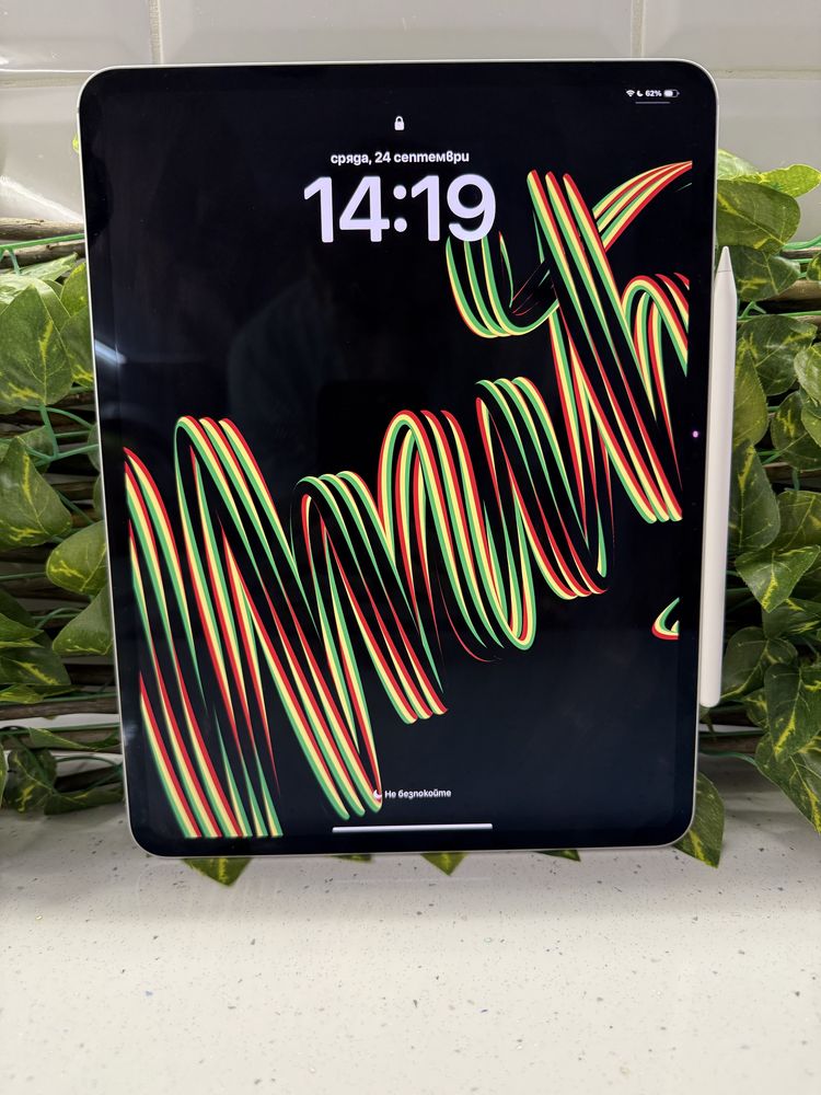 Ipad pro 13  инча - 256G TOP цена