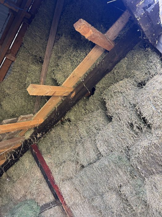 Baloti frunzoși de lucerna mari si grei