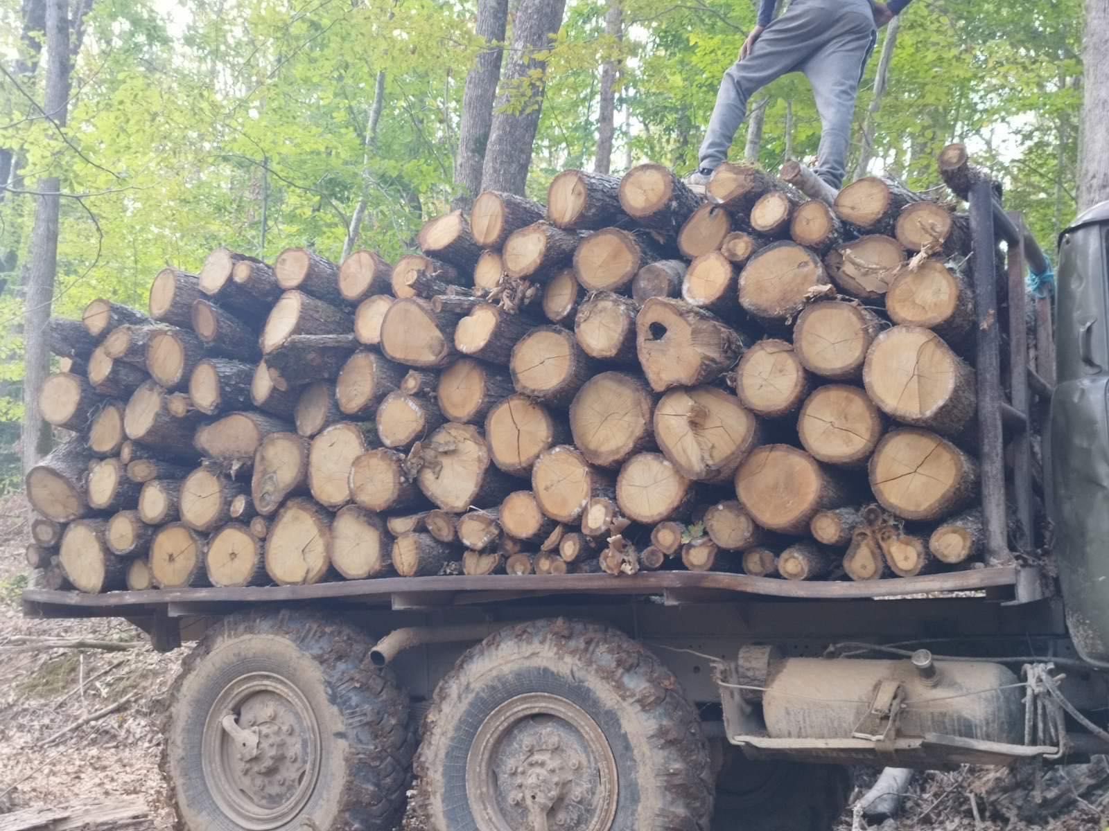 Дърва за огрев гр. Малко Търново