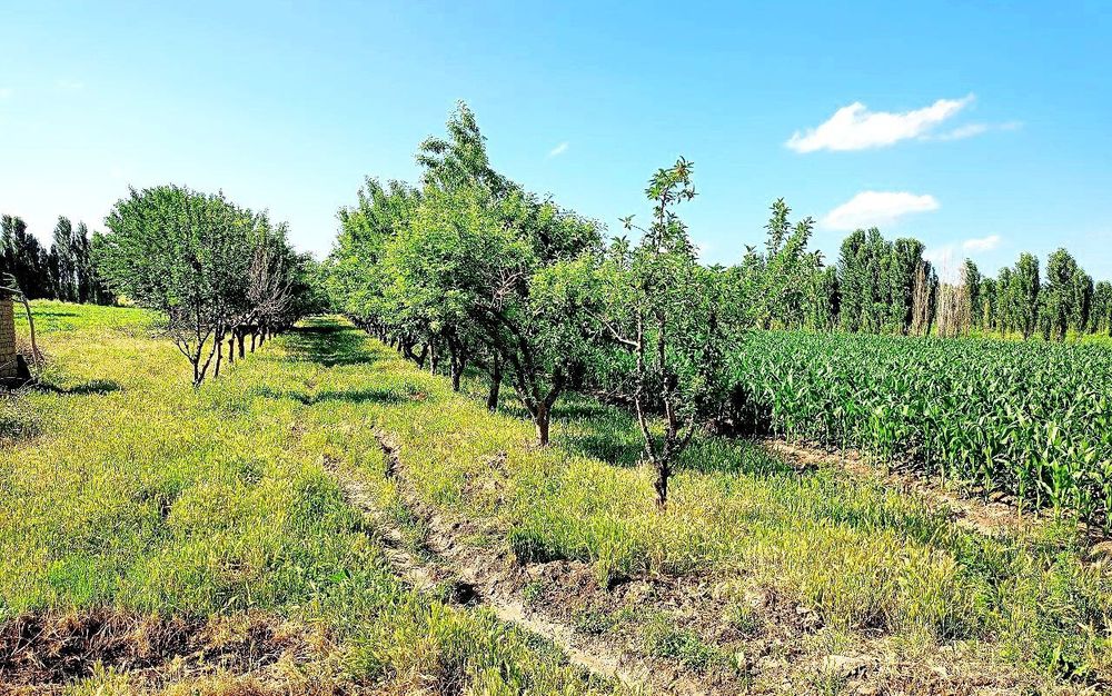 Uy sotiladi Дом продаëтся