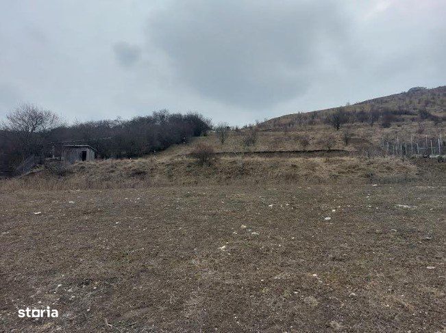 Teren de vanzare 3063 mp, intravilan, str Planoarelor, Dezmir