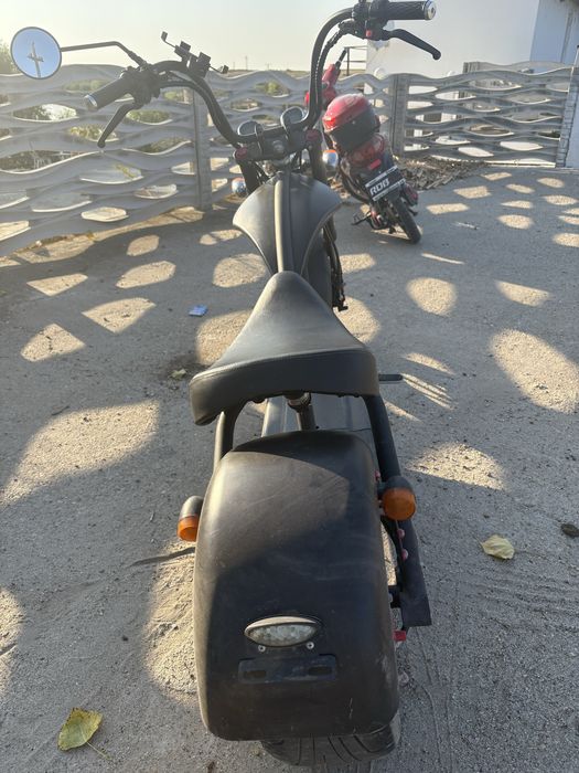 Vand scuteter electric chopper