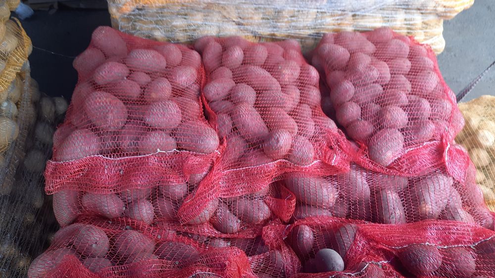 Vand Cartofi calibru 55+la sac 10kg si 25 kg