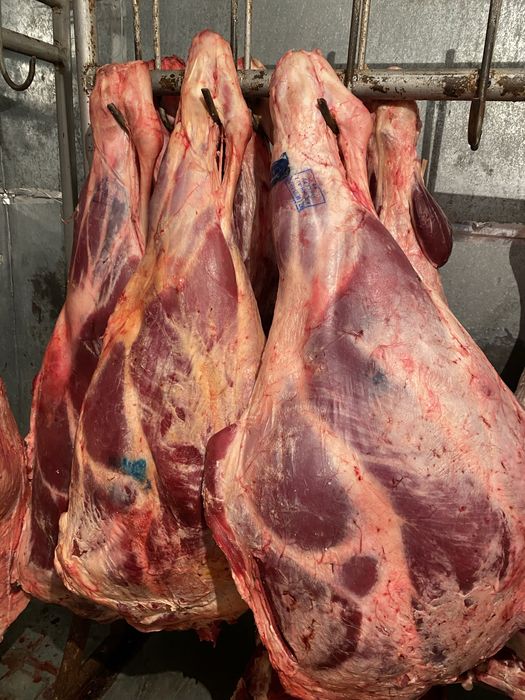 Мясо Молодняк Халал Опто-