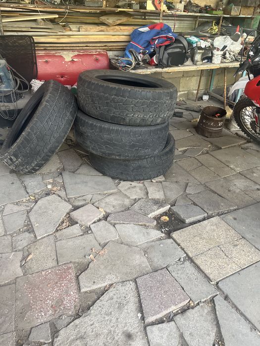 Продам шины.