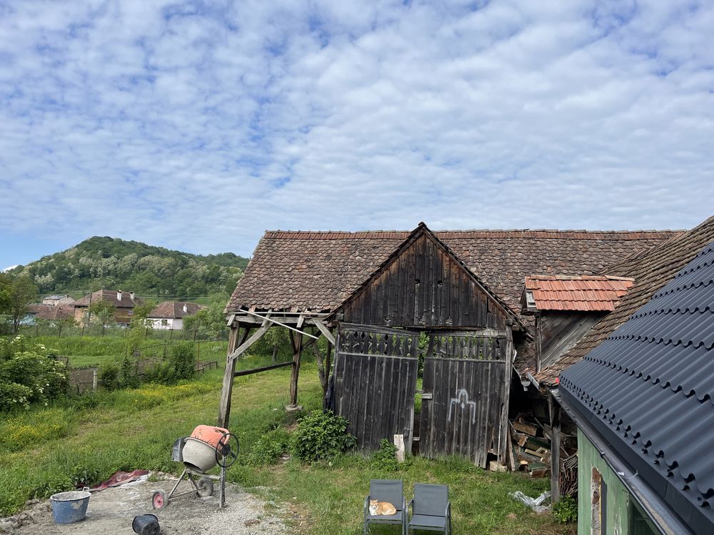 Vand sura pentru reabilitare sau lemn stejar si plop pentru foc