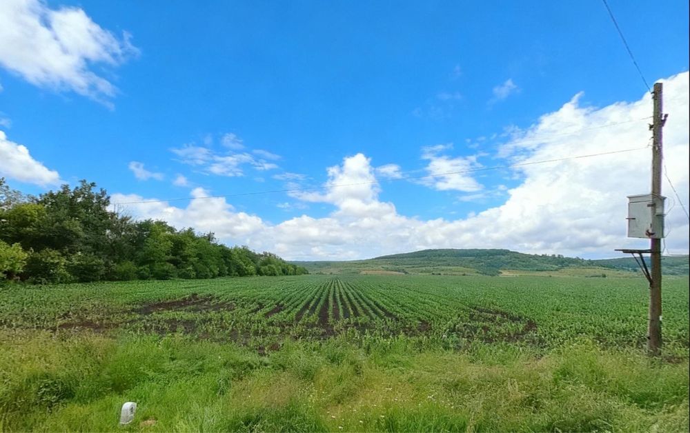 Teren intravilan 16100 mp metrii patrati 1,61 hectare