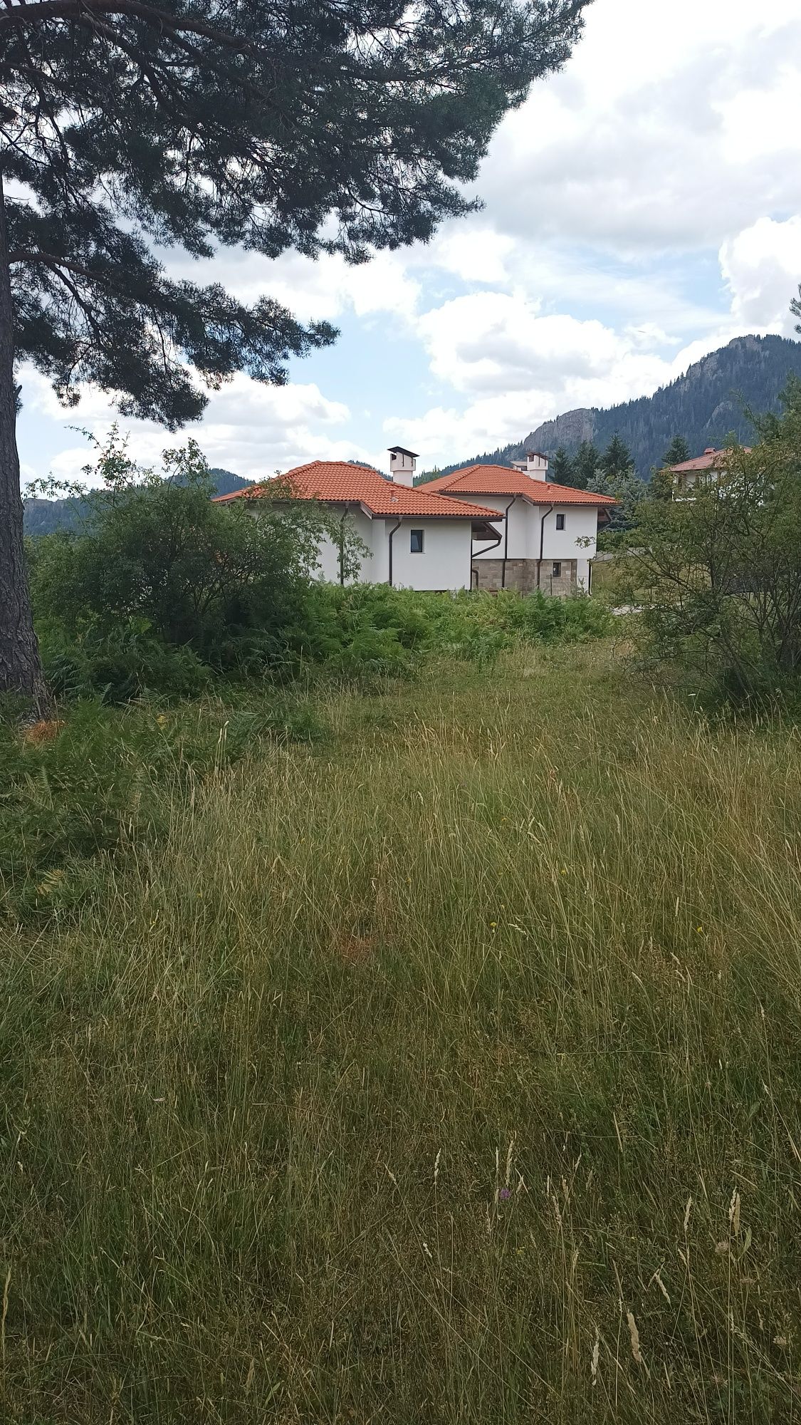 Продавам 5500 кв.м в регулация до Пампорово