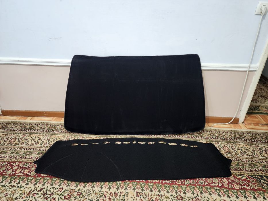 Gentra orqa parda va tarpeda