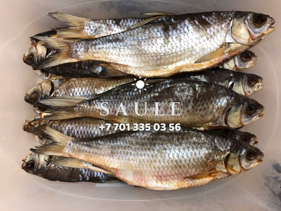 Свежая вяленая вобла
