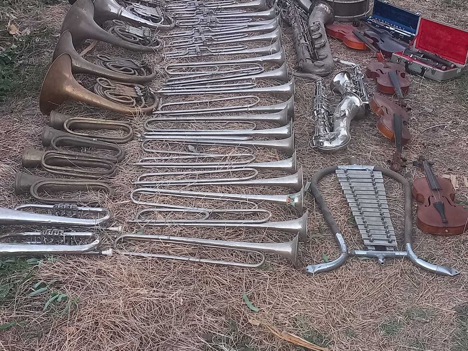 instrumente muzicale tambale saxofoane goarne viori