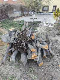 Дерево для дров бесплатно самовывоз райн старый базар