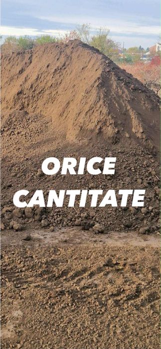 PAMANT NEGRU Bucuresti Ilfov