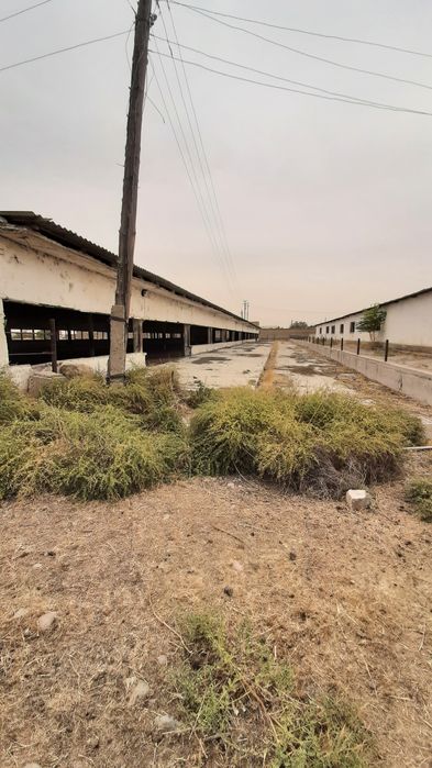 Срочно продаётся Туйтепа Нурафшон 4 5-гектар коммерческие помещения