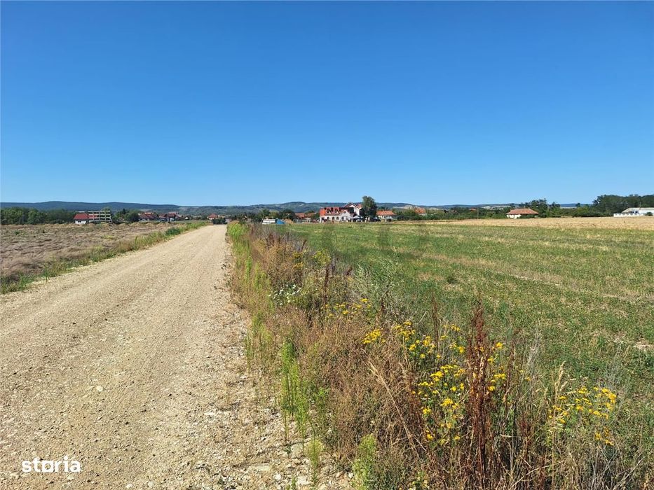 Reco, Teren intravilan Osorhei