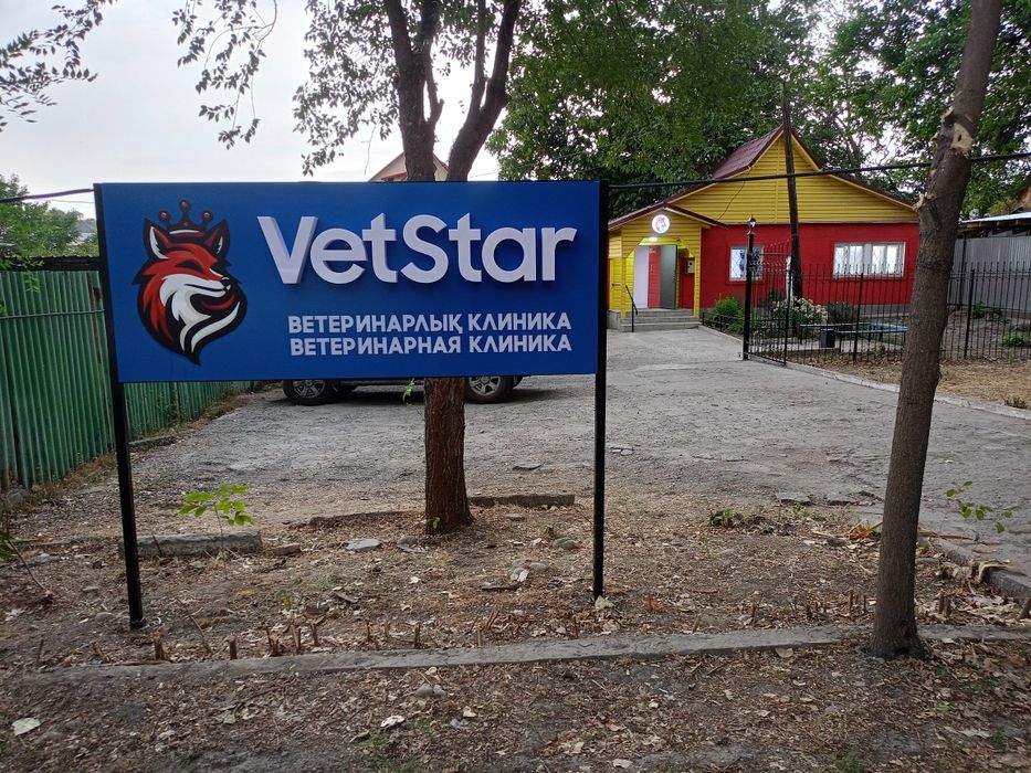 Ветеринарная клиника круглосуточно вызов на дом