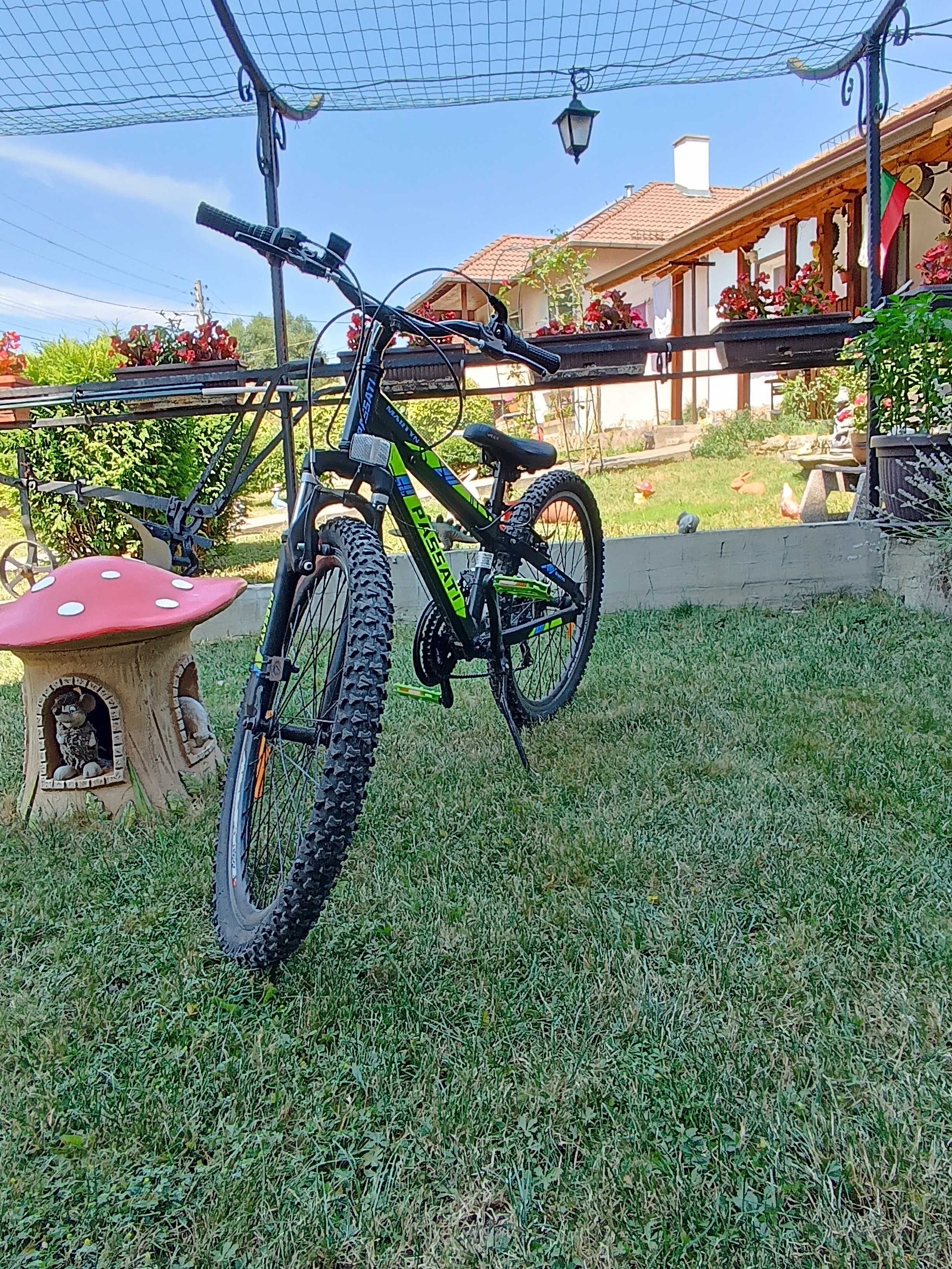 Passati Martyn 20"