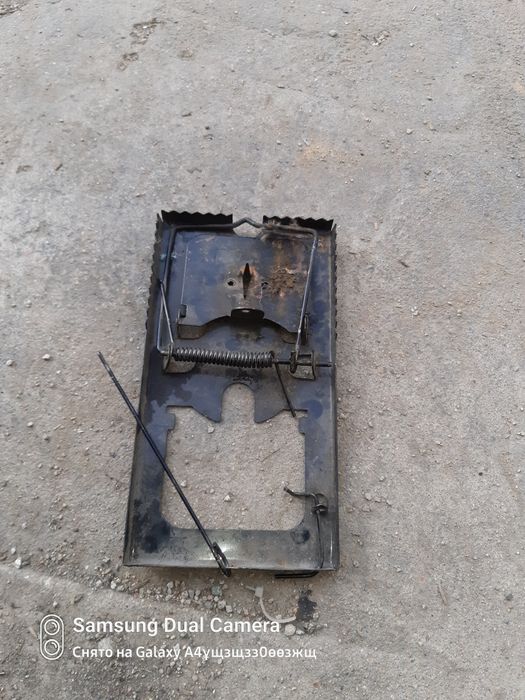 Мышеловка рабочий