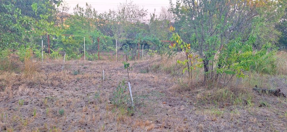 Продава се Къща в Варна, м-т Планова - 35 кв.м за 2286 €/кв.м - Снимка #3