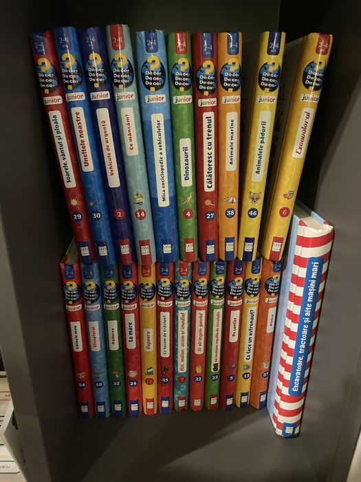 Colectiw 2-4 ani De ce de ce carto copii