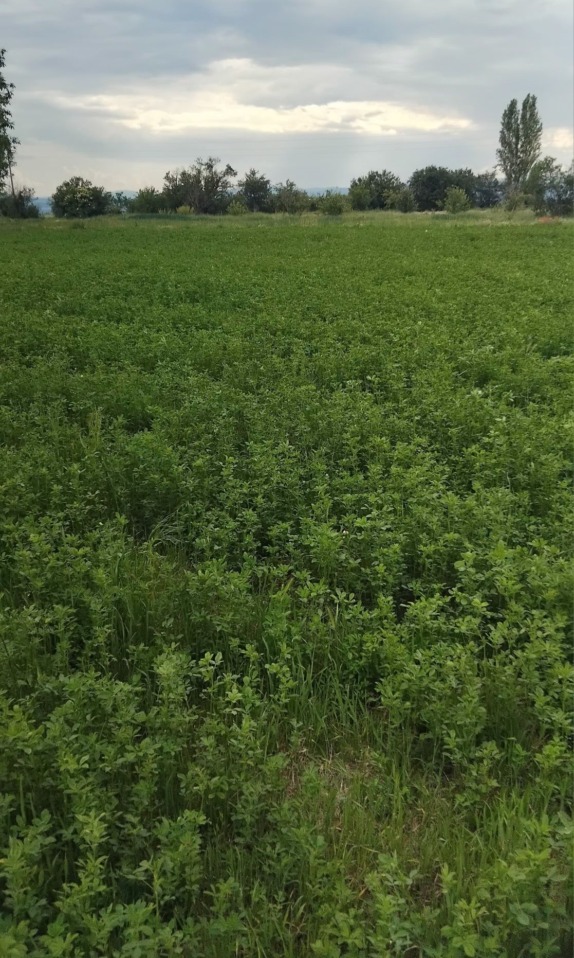 Продава имот в с.Крайници общ.Дупница