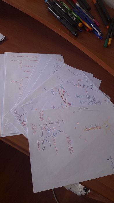 Meditații Barrons Biologie Pentru Admiterile La Medicina