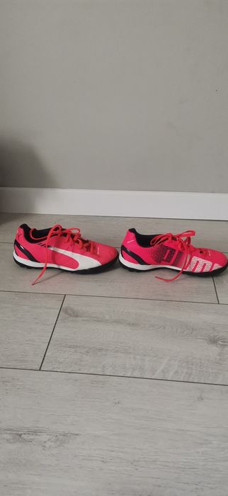 Розови стоножки на пума