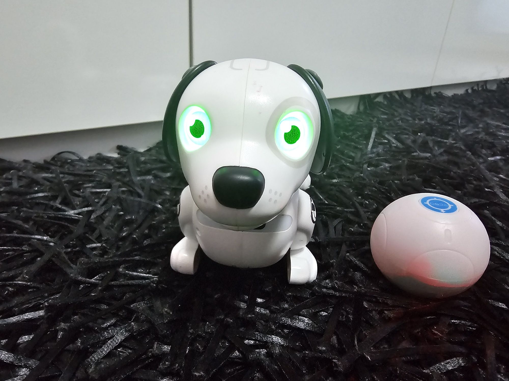 Catel robotel interactiv
