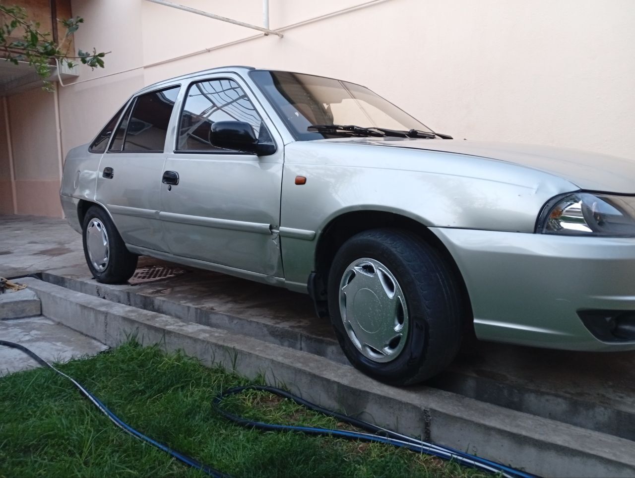 Sirochna neksia sitiladi