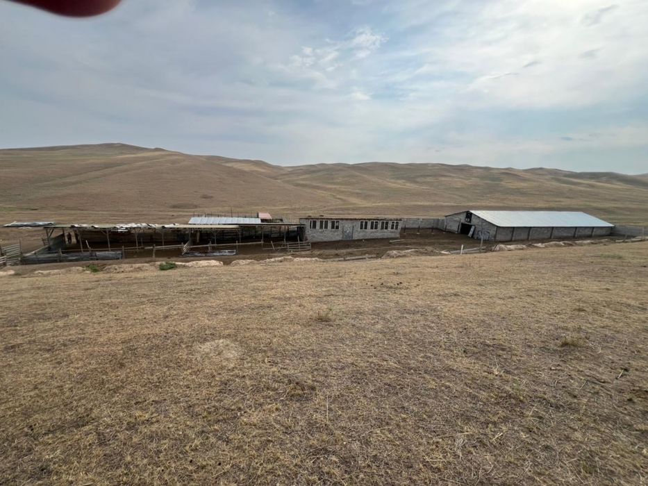 Продается Фазенда