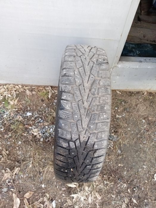 Продам одну зимнию шину на 15
