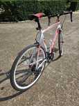 Bicicleta cursiera