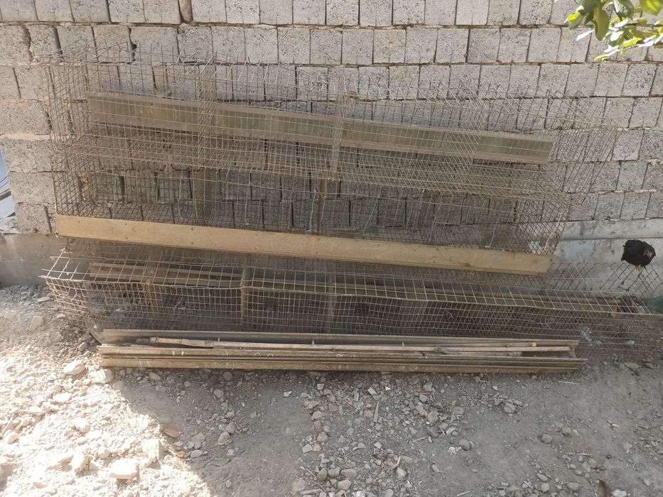 Товуклар учун клетка