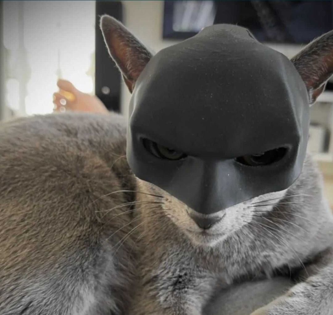 Masca batman pentru pisica