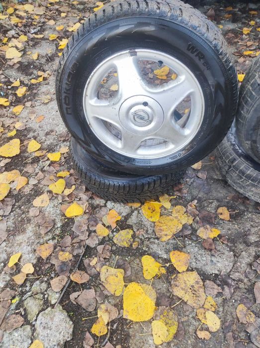 roti iarna 195/65R15