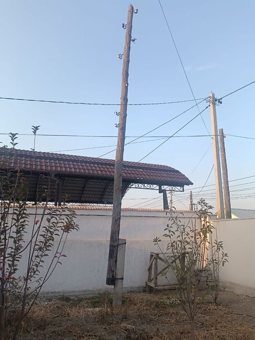 Столбы деревянные