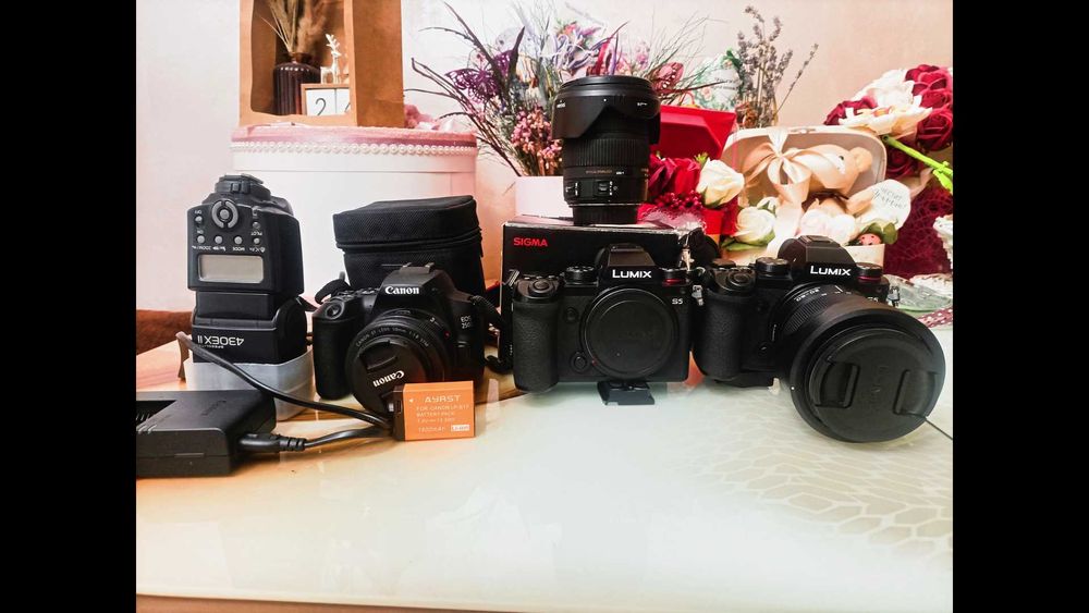 Canon 250D/ Sigma 17-50 2.8