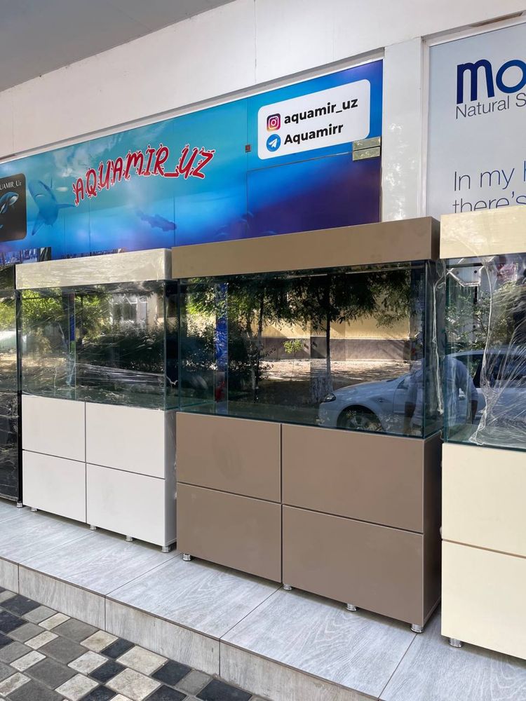 Akvarium magazin Mirobod va Sergili
