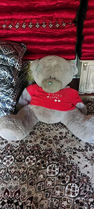 Yumshoq oʻyinchoq teddy ayigʻi
