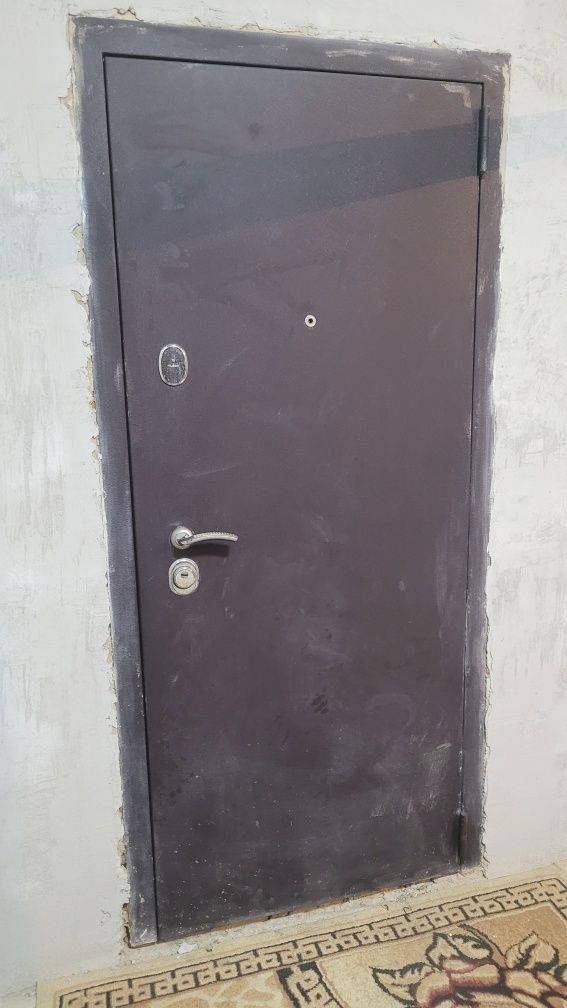 Железная дверь с моткитной сеткой