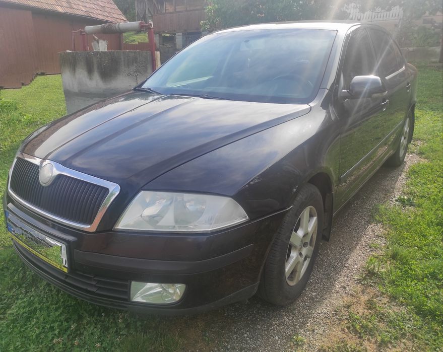 Vand Skoda Octavia 1.9TDI - 2007