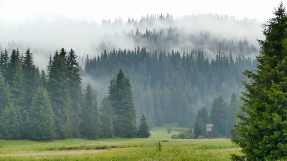 Вила - до Голям Беглик
