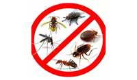 Дезинфекция дезинсекция уничтожение клопов тараканов блох клещей мух