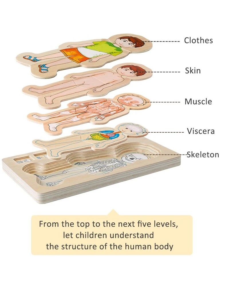 Puzzle corpul uman baiat/fata