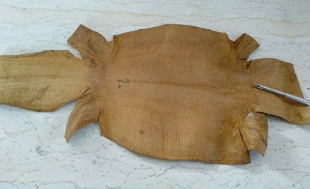 Piei pentru pantofi, genti si crose golf