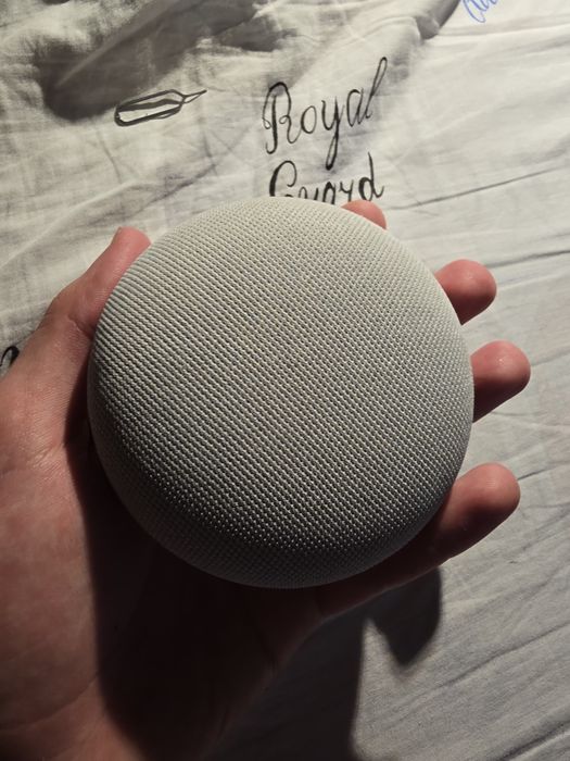 google nest mini 2 (H2C)