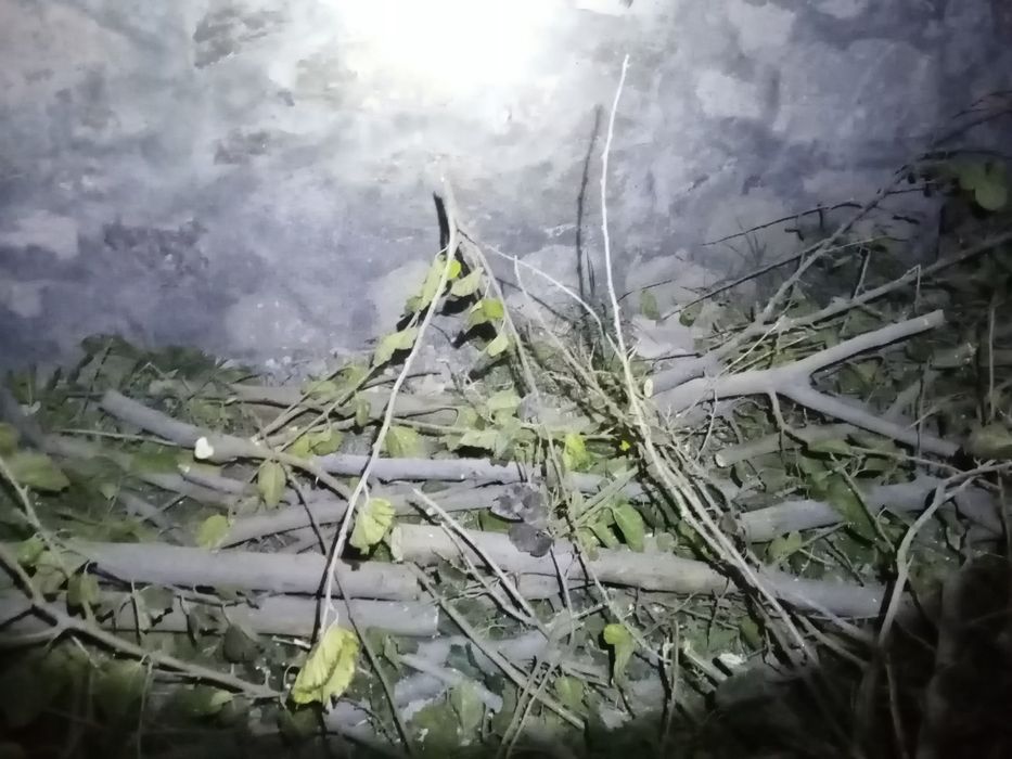 Утин сотилади коп